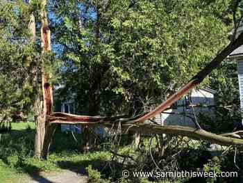 Storm leaves 6800 customers without power | Sarnia & Lambton County This Week - Sarnia and Lambton County This Week