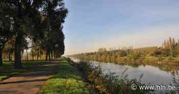 Wat doet Nijlen om droogte tegen te gaan? “We zijn bezig aan een hitte- en droogteplan” - Het Laatste Nieuws