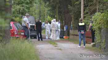 Nachbarschaftsstreit eskaliert - Drei Tote in Lüneburger Heide gefunden - BILD