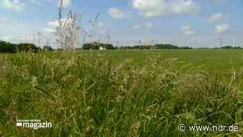 Zahlreiche Hürden für den Bau der Batteriefabrik in Heide - NDR.de