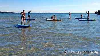 Bad Schwartau: Mit dem Ferienpass in den Heide Park und KZ-Gedenkstätte - Lübecker Nachrichten
