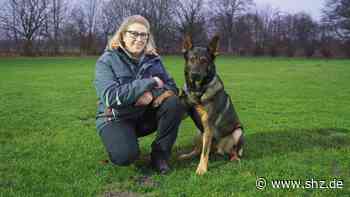 Erhöhte Hundesteuer: Tornesch: Vereine wollen Sozialklausel und Ermäßigungen für sichere Hunde - shz.de