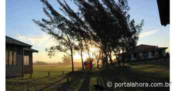 ZIMBA IN THE SKY: Evento cultural de Imbituba traz atrações musicais regionais neste sábado (4) - Portal AHora