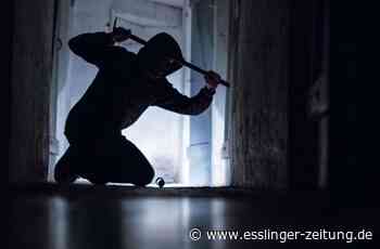 Vorfall in Ostfildern - In Schule eingebrochen - esslinger-zeitung.de