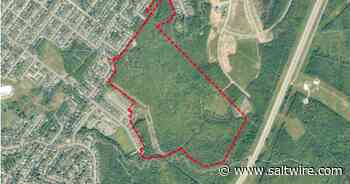Flood of concern: Proposed area for Cape Breton housing development problematic - Saltwire