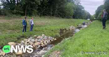 Vistrappen laten vissen stroomopwaarts zwemmen in Bilzen: "Zodat ze sneller voedsel en een schuilplaats vinden" - VRT NWS