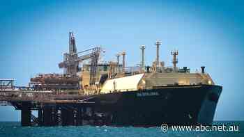 Once rivals, former WA premiers despair at the 'stupidity' of the gas crisis over east