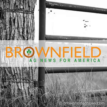 Economists say the safety net in the next farm bill needs to account for uncertainty - brownfieldagnews.com