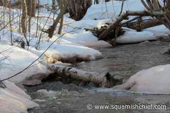 BC rivers are vulnerable to flooding: River Forecast Centre - Squamish Chief