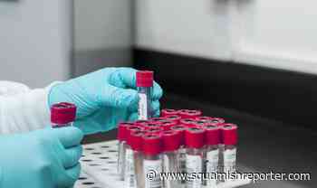 First case of monkey pox detected in BC - The Squamish Reporter