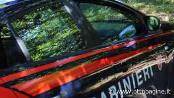 Bruciano residui vegetali per pulire il fondo agricolo: denunciati a Solofra - Ottopagine