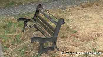 Solofra, manutenzione a metà per le aree verdi. In periferia erbacce e rifiuti - Irpinia TV