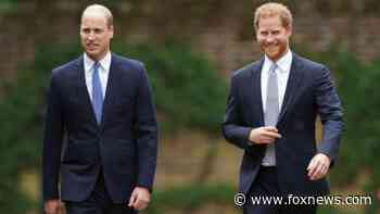 Prince Harry's interview about royal family still a 'very bitter pill to swallow' for Prince William: expert