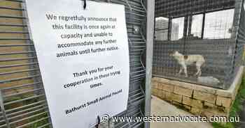 Bathurst pound at capacity as number of animals surrendered grows - Western Advocate