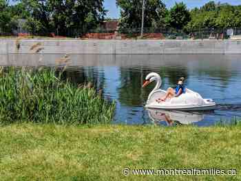 Swan Pedal Boats & Other Rentals at Lachine Canal – Montreal Families - Montreal Families