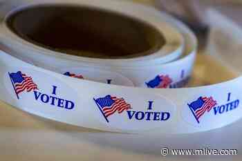 Michigan legislation would let some 17-year-olds vote in primary elections - MLive.com