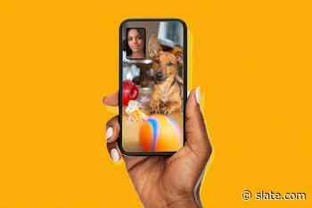 BeReal app guide: 20-year-olds explain what to post—and what never to post. - Slate