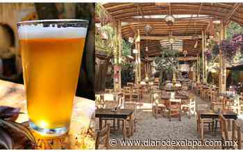El sitio perfecto de Coatepec para degustar cerveza artesanal y escuchar música en vivo - Diario de Xalapa