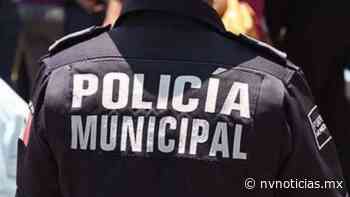 Coatepec quiere aumentar policías municipales – NV Noticias - NV Noticias
