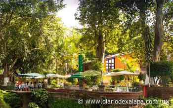 Un hermoso restaurante campestre con vista al río; ¡está muy cerca de Xalapa! - Diario de Xalapa