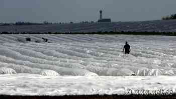 DGB Bayern will mehr Betriebskontrollen in der saisonalen Landwirtschaft