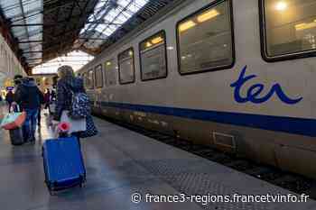 Leucate : une passagère d'un TER percutée mortellement par un train, la circulation interrompue entre Narbonne et Perpignan - France 3 Régions