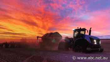 With billions of tonnes of phosphate for fertiliser, can Australia 'seize the moment'?