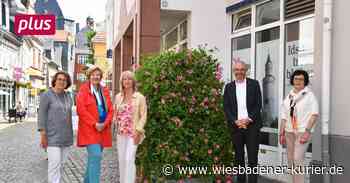 Idstein geht mit Blumen in die Zukunft - Wiesbadener Kurier