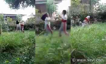 Expulsan a alumnas exhibidas peleando en plantel del Cobatab en Macuspana - XeVT 104.1 FM | Telereportaje