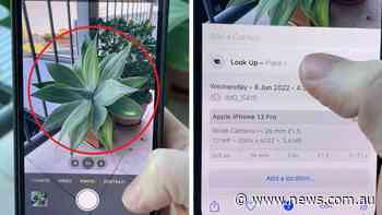 Genius iPhone hack no one knows about