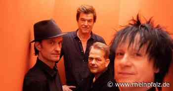 Die Toten Hosen in Mannheim - Punkrock - DIE RHEINPFALZ - Rheinpfalz.de