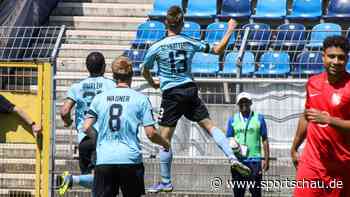 SV Waldhof Mannheim gegen TSV Havelse - die Zusammenfassung - Sportschau