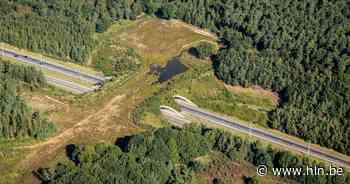 Grote verkeershinder verwacht bij werken E314 die vrijdag starten - Het Laatste Nieuws