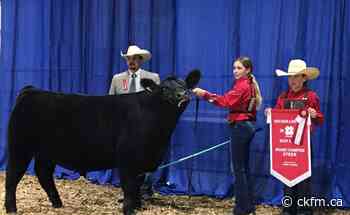 Red Deer & District 4-H Beef Show Recap - ckfm.ca