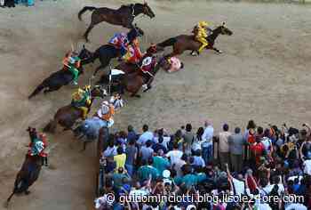 24zampe | Comune di Siena fa causa a un animalista: “Offese la città del Palio” - Il Sole 24 Ore