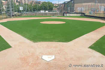 Estra BC Siena, al via il girone di ritorno del campionato nazionale di serie C di baseball - SienaFree.it