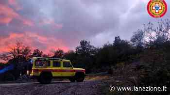 Siena, si perde nel bosco dopo una cena: notte da incubo per un ragazzo - LA NAZIONE