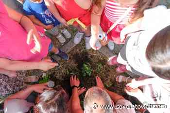 Girifalco celebra la “Giornata mondiale dell'Ambiente” con i bambini - Soverato Web