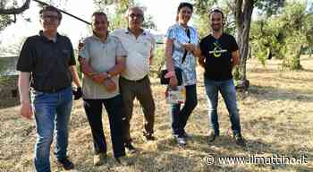 L'Oro di Capri, ad Anacapri una serie di iniziative per scoprire le proprietà dell'olio extravergine di oliva - ilmattino.it