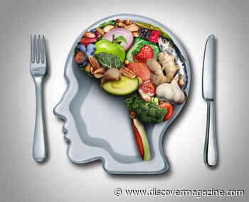 Therapy on a Plate: How Your Diet Can Benefit Your Mental Health