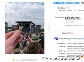 £65500 bid for Dudley eBay seller's grass from Liam Gallagher Knebworth gig - Express & Star