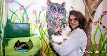 Beheerder Dierenbescherming Mechelen neemt ontslag: “Ik mis een nieuwe uitdaging” - Het Laatste Nieuws