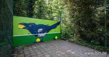 Dzia siert Vrijbroekpark met muurschilderingen | Mechelen | hln.be - Het Laatste Nieuws