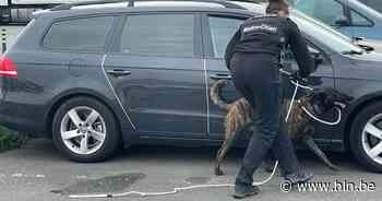 Drugshond vindt 100 gram heroïne bij controle actie op transportzone LAR - Het Laatste Nieuws