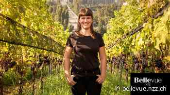 Gute Weine aus Zürich und Wien: Weinbau in der Grossstadt - NZZ Bellevue