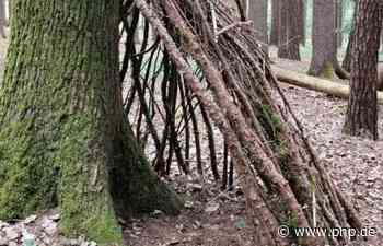 "350 Euro kalt" für "Wohnungsangebot" bei Regensburg macht im Internet die Runde - Passauer Neue Presse - PNP.de