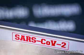 Kreis Stade verzeichnet höchste Corona-Inzidenz in der Region - Landkreis Stade - Tageblatt-online