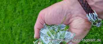 Glasscherben im Park am Wochinger Spitz – Immer wieder Verunreinigungen nach privaten Feiern - Traunsteiner Tagblatt