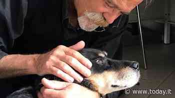 La storia struggente di Alba, scomparsa 13 anni fa e ritrovata oggi - Today.it