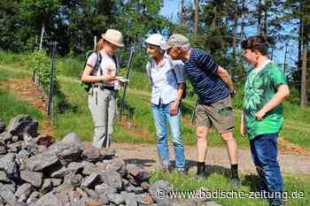 Zwölfjährige erklären Touristen in Ihringen die Natur - Breisach - Badische Zeitung